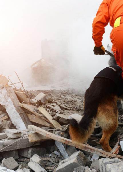 civil protection